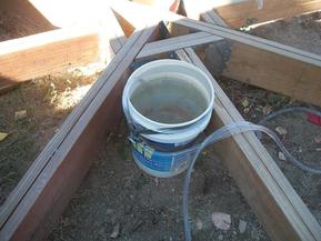 Bucket of water with clear plastic siphoning tube.